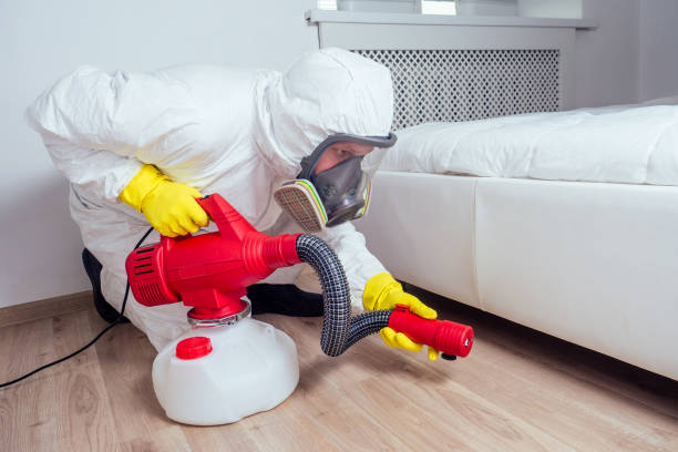 Pest Control Cost in Wagon Wheel, AZ