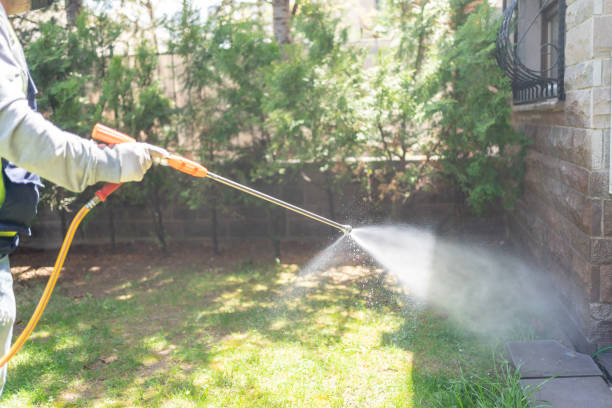 Best Local Pest Control Services  in Wagon Wheel, AZ