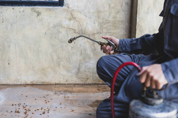 Best Pest Removal Services  in Wagon Wheel, AZ